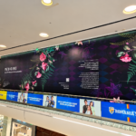 un nou lant de magazine cu haine vine in romania fondatorul answear aduce medicine in mega mall din bucuresti 6add0656b47a9